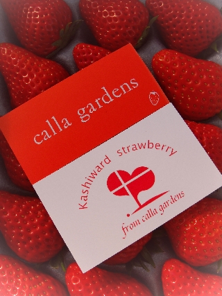 かしわーど公認